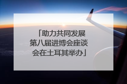 助力共同发展 第八届进博会座谈会在土耳其举办