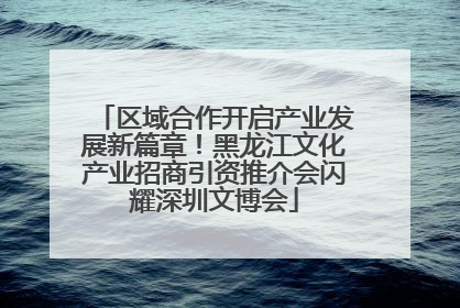 区域合作开启产业发展新篇章！黑龙江文化产业招商引资推介会闪耀深圳文博会