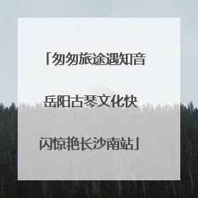 匆匆旅途遇知音 岳阳古琴文化快闪惊艳长沙南站