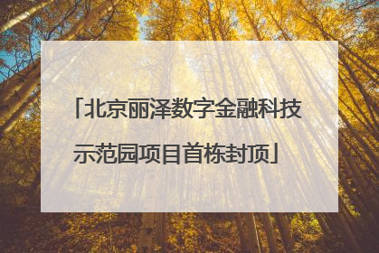 北京丽泽数字金融科技示范园项目首栋封顶