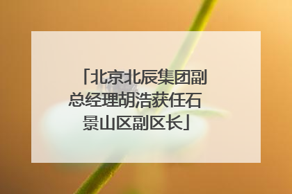 北京北辰集团副总经理胡浩获任石景山区副区长