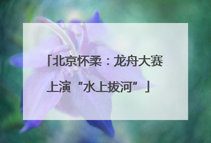 北京怀柔：龙舟大赛上演“水上拔河”