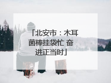 北安市：木耳菌棒挂袋忙 奋进正当时