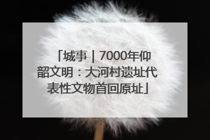 城事｜7000年仰韶文明：大河村遗址代表性文物首回原址