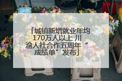 城镇新增就业年均170万人以上 川渝人社合作五周年“成绩单”发布