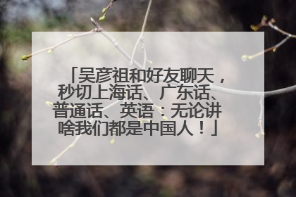 吴彦祖和好友聊天，秒切上海话、广东话、普通话、英语：无论讲啥我们都是中国人！