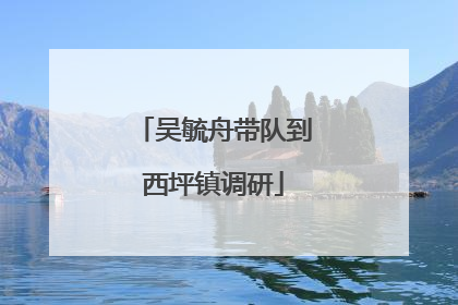 吴毓舟带队到西坪镇调研
