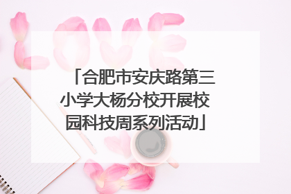 合肥市安庆路第三小学大杨分校开展校园科技周系列活动