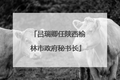 吕瑞卿任陕西榆林市政府秘书长