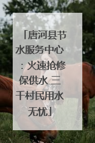 唐河县节水服务中心：火速抢修保供水 三千村民用水无忧