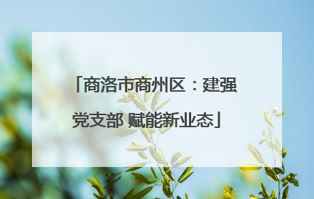 商洛市商州区：建强党支部 赋能新业态
