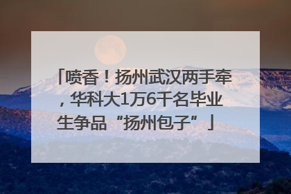 喷香！扬州武汉两手牵，华科大1万6千名毕业生争品“扬州包子”