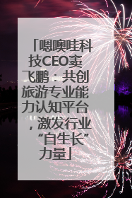 嗯噢哇科技CEO窦飞鹏：共创旅游专业能力认知平台，激发行业“自生长”力量