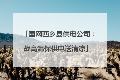 国网西乡县供电公司：战高温保供电送清凉
