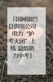 国网镇巴县供电公司 电力“护考天团”上线 温情助力中考