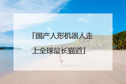 国产人形机器人走上全球最长猫道