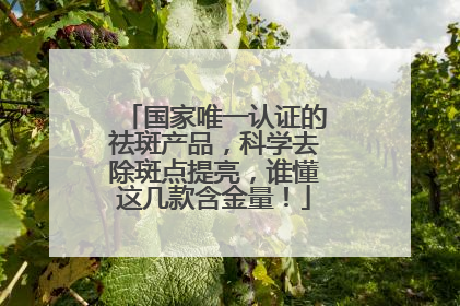 国家唯一认证的祛斑产品，科学去除斑点提亮，谁懂这几款含金量！