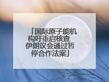 国际原子能机构吁重启核查 伊朗议会通过暂停合作法案