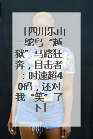 四川乐山一鸵鸟“越狱”马路狂奔，目击者：时速超40码，还对我“笑”了下
