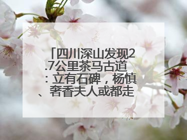 四川深山发现2.7公里茶马古道：立有石碑，杨慎、奢香夫人或都走过这条路
