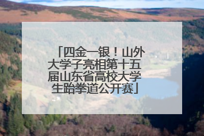 四金一银！山外大学子亮相第十五届山东省高校大学生跆拳道公开赛