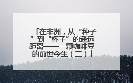 在非洲，从“种子”到“杯子”的遥远距离——一颗咖啡豆的前世今生（三）