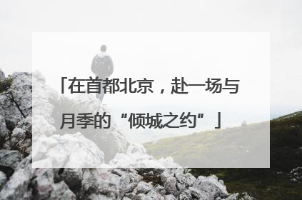 在首都北京，赴一场与月季的“倾城之约”