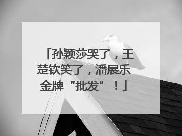 孙颖莎哭了，王楚钦笑了，潘展乐金牌“批发”！