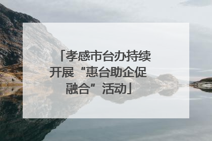 孝感市台办持续开展“惠台助企促融合”活动