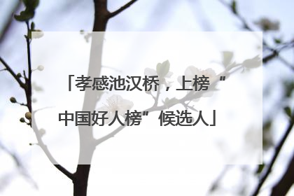孝感池汉桥，上榜“中国好人榜”候选人