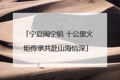 宁夏闽宁镇 十公里火炬传承共赴山海情深