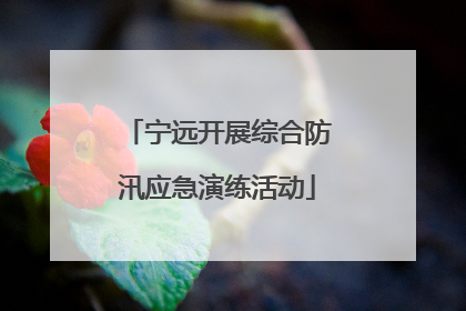 宁远开展综合防汛应急演练活动