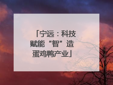 宁远：科技赋能“智”造蛋鸡鸭产业