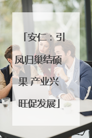 安仁：引凤归巢结硕果 产业兴旺促发展
