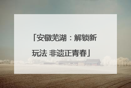 安徽芜湖：解锁新玩法 非遗正青春