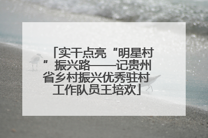 实干点亮“明星村”振兴路——记贵州省乡村振兴优秀驻村工作队员王培欢