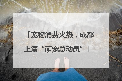 宠物消费火热，成都上演“萌宠总动员”