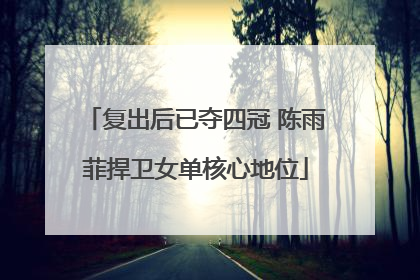 复出后已夺四冠 陈雨菲捍卫女单核心地位