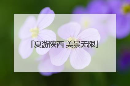 夏游陕西 美景无限