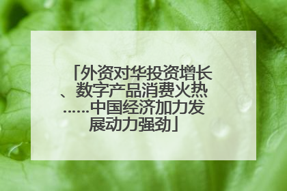 外资对华投资增长、数字产品消费火热……中国经济加力发展动力强劲
