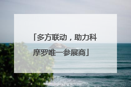 多方联动，助力科摩罗唯一参展商