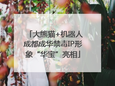 大熊猫+机器人 成都成华禁毒IP形象“华宝”亮相