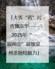 大秀“茗”片 香飘京华——2025年“一展两会”展现泉州茶独特魅力