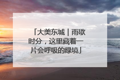 大美东城｜雨歇时分，这里藏着一片会呼吸的绿境