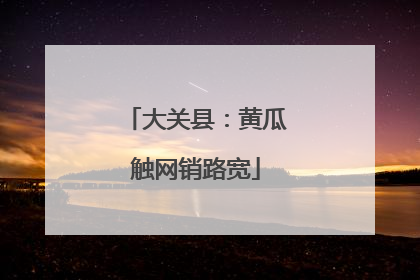 大关县：黄瓜触网销路宽