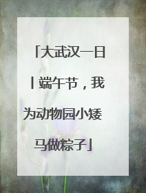 大武汉一日丨端午节，我为动物园小矮马做粽子