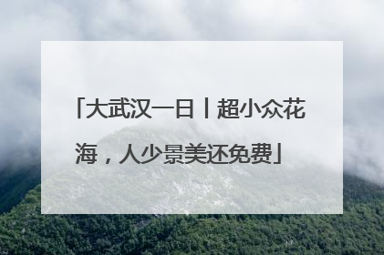大武汉一日丨超小众花海，人少景美还免费
