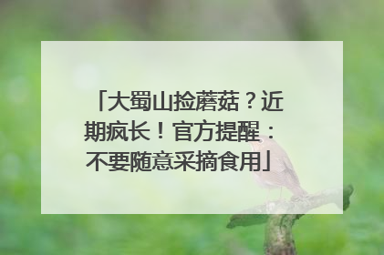 大蜀山捡蘑菇？近期疯长！官方提醒：不要随意采摘食用