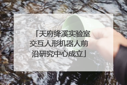 天府绛溪实验室交互人形机器人前沿研究中心成立