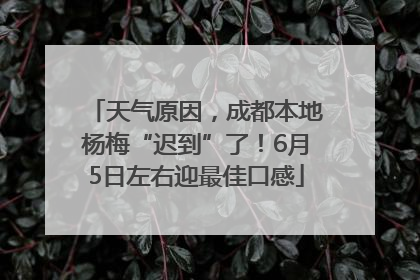 天气原因，成都本地杨梅“迟到”了！6月5日左右迎最佳口感